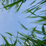 设置昵称