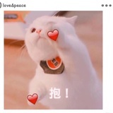 巧克力汤圆