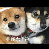 丙火玛卡巴卡