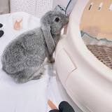 🐰兔叽鱼🐟