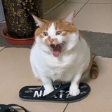 咕噜
