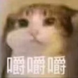 拒绝垮裤协会