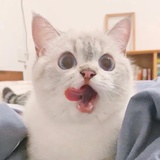 给爷整笑了