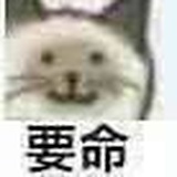 做个梦给你