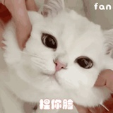 小召召爱你呦