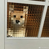 青清清