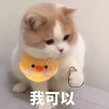 生三