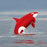 CetaceanSpirit