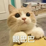 咸鱼想躺平