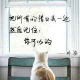 zz小凡Fan