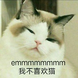 冷漠某某