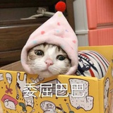 安宿
