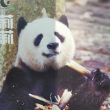 喧赫