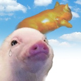 赤色猪头肉