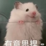 折折🎲
