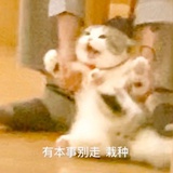 宝塔镇河妖
