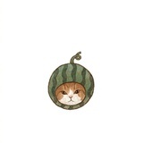 猕猴桃维生素c