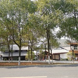 红