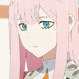 鹤望兰