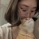 鲸歌