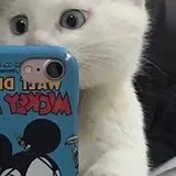 豆友170611918