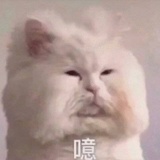杨枝甘露没西柚