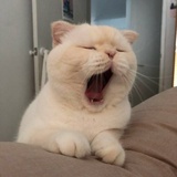 加点盐