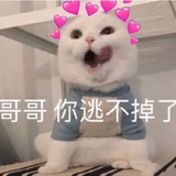 橙Yousweet