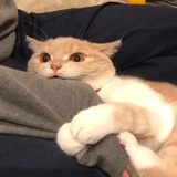 靛蓝蓝蓝…