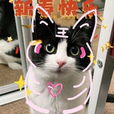 瓜瓜