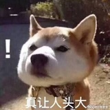 脑阔疼