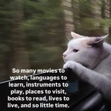 屁股已经死掉了