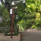 一圆（流浪中）