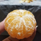 使我不得开心颜