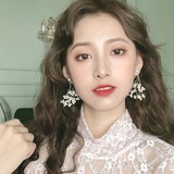 梧桐