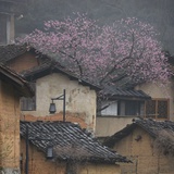 纳兰小杭