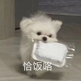 红色马铃薯