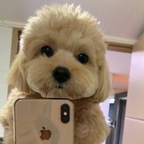 不知道叫啥名