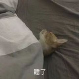 菌汤锅脆毛肚