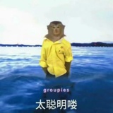大象魔法