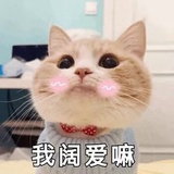 黄堂堂