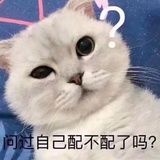 醉疏