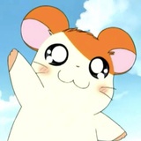 名牌小姨