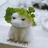 清怡
