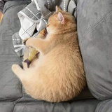 FUFU