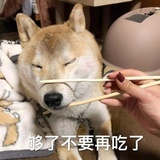 Shu