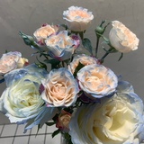 安凉城