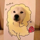 家家