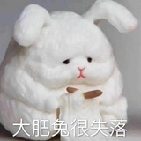 大肥兔