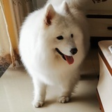 圈圈圆圆圈圈
